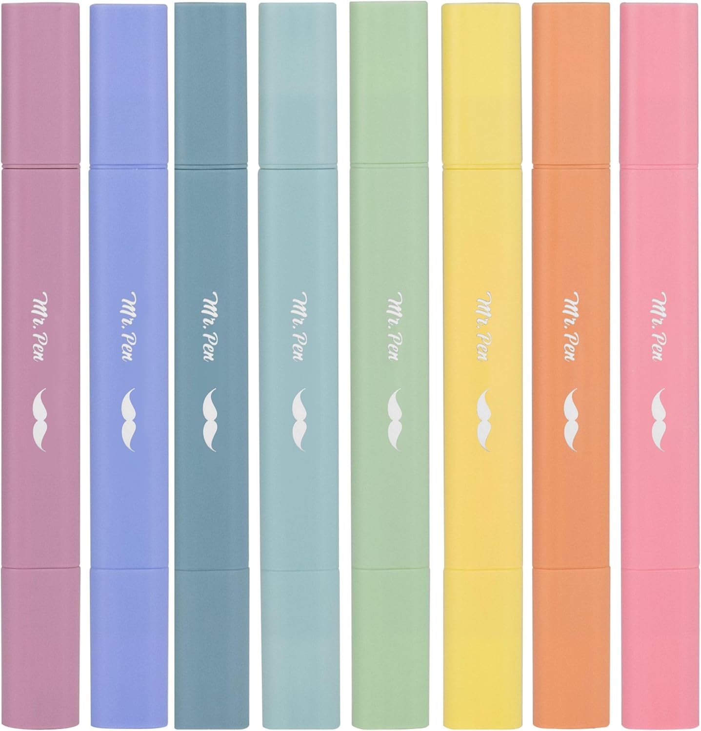 Aesthetic Dual Tip Bible Highlighters
