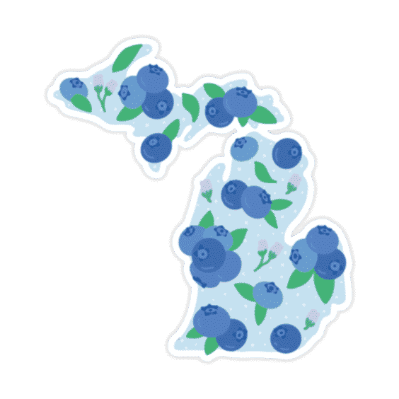 Michigan Blueberry Sticker