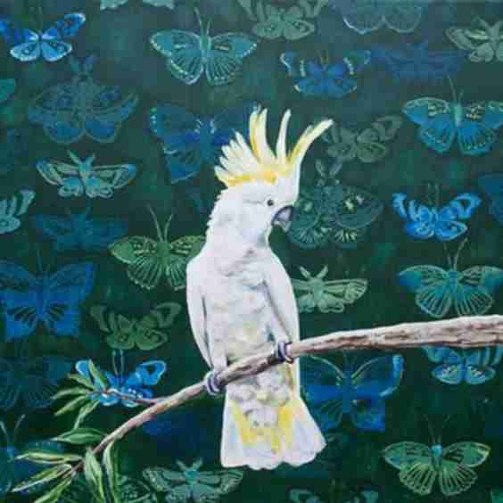Yellow Crested Cockatoo