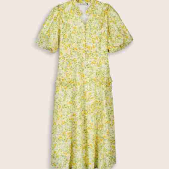 Eva Printed Midi Dress