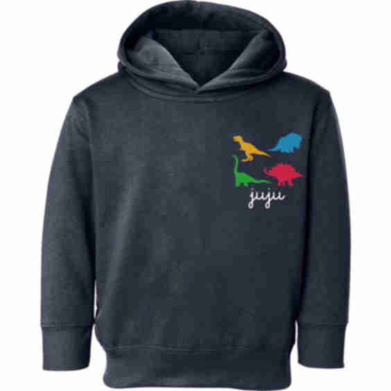 Little Kid Pullover Hoodie Dinos