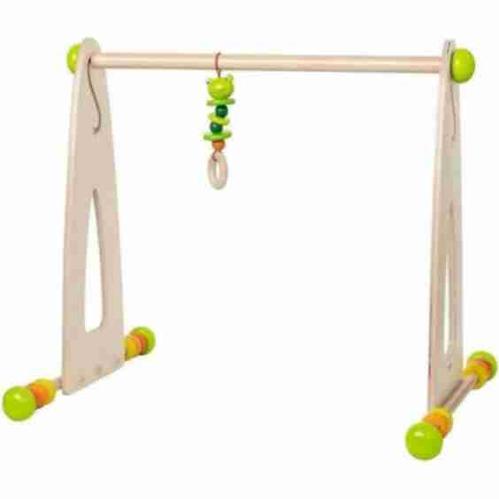 Color Fun Play Gym