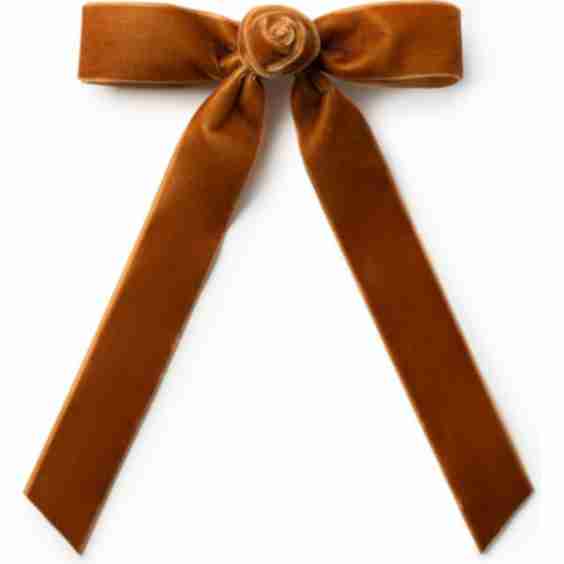 Rosette Velvet Long Tail Clip