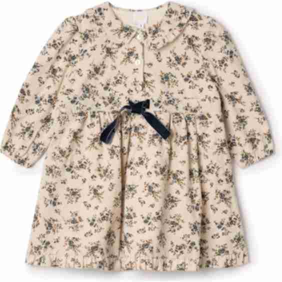 Flower Print Lace Dress