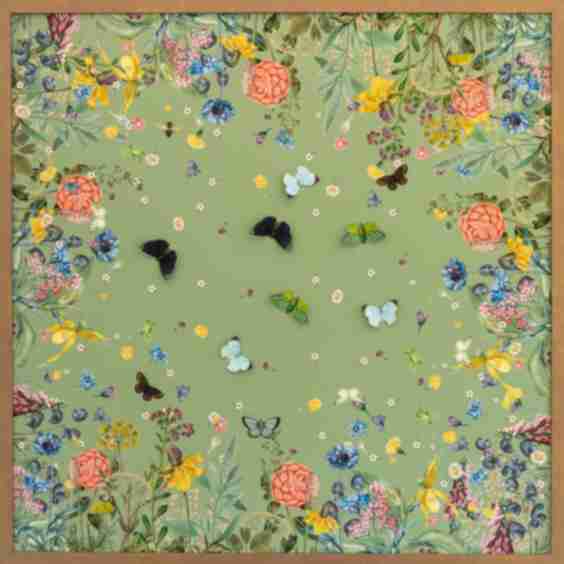 Scarf w/ Butterflies Art 