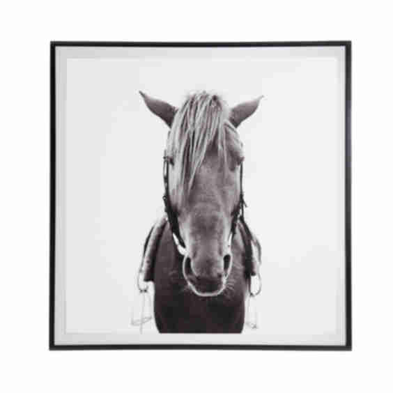 Horse Art