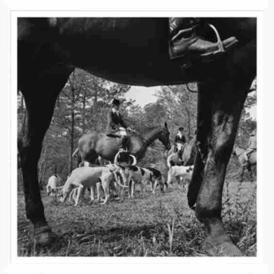 Fox Hunt Slim Aarons January 1 1955 Photograph