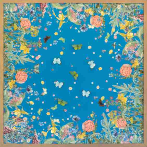 Turquoise Scarf with Butterflies Limited-Edition