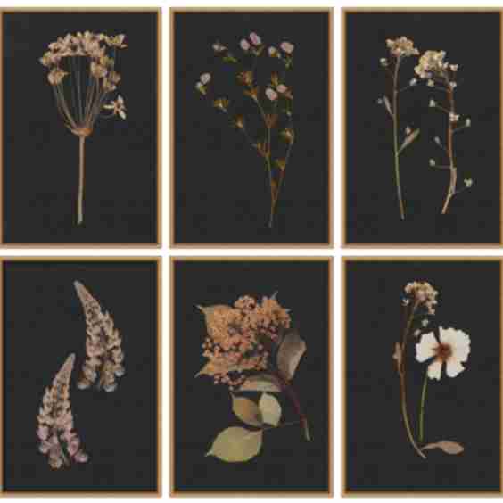 Moody Botanical Set Art