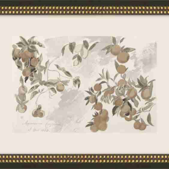 Fruit Tree Art Frame
