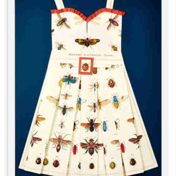 Folded Paper Dress Bees And Ladybugs