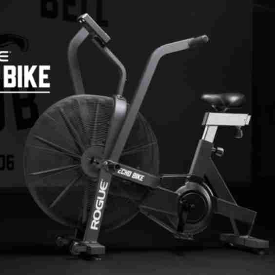 Rogue Echo Bike V3.0