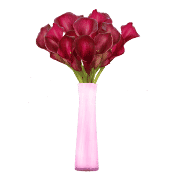 60 Stems of Calla Lilies Flowers