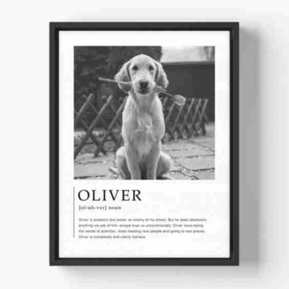 Pawtrait Perfection Custom Canvas for Pet