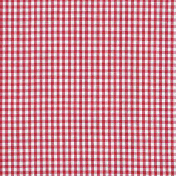 1/8" Gingham Fabric