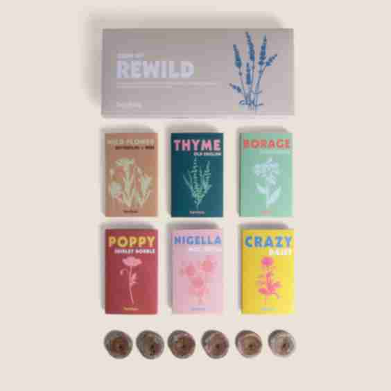 Rewild Garden Seed Box