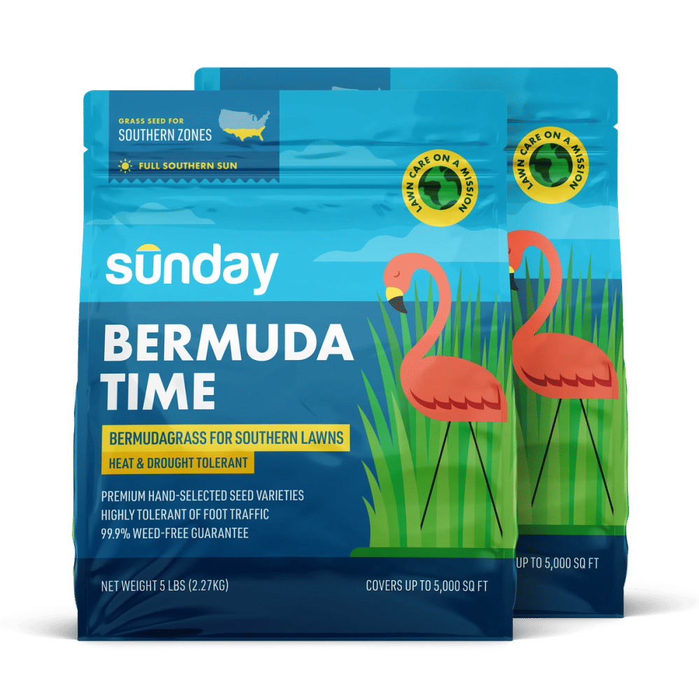 Bermuda Time (2-Pack) Common Bermudagrass Seed