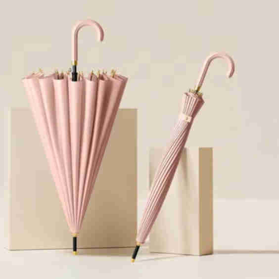 24 Ribs Storm Proof Ladies Umbrella - CL105