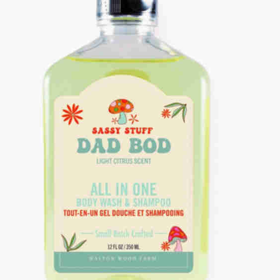 Dad Bod Body Wash & Shampoo, 12 Oz