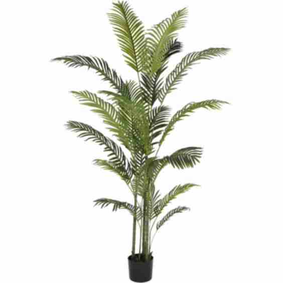Faux Areca Palm 6 Ft
