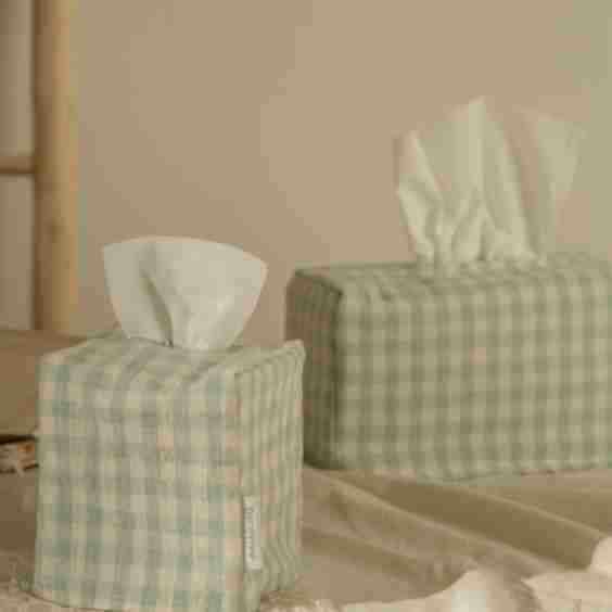 Washing Tissue Case