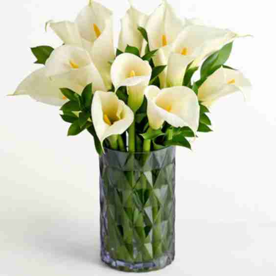 Sending Peaceful Wishes Bouquet