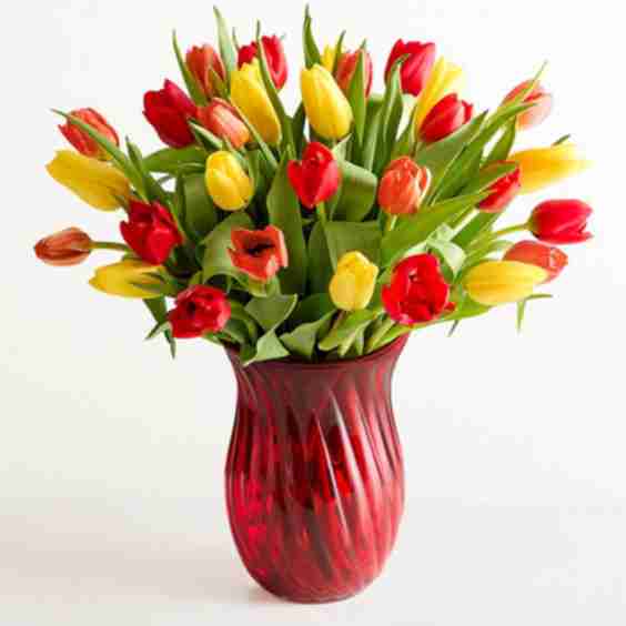 Assorted Fall Tulips Free Vase