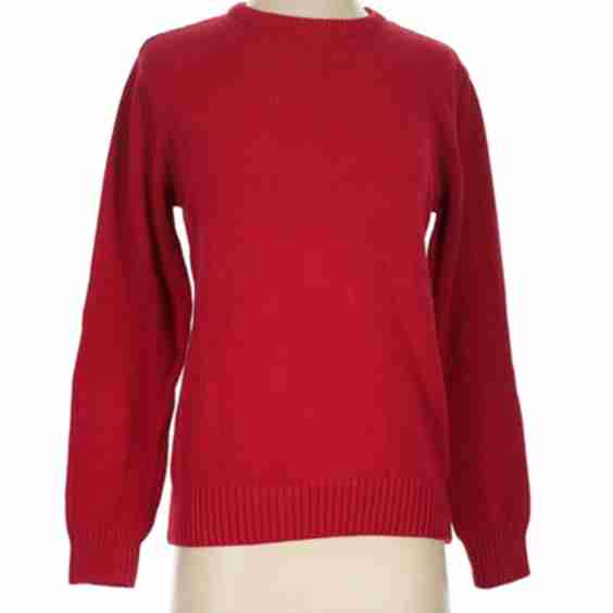 Long Sleeve Pullover Sweater (Pre-Owned)