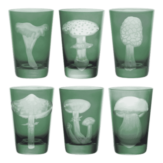 Mushrooms Collection Tumblers Set of 6