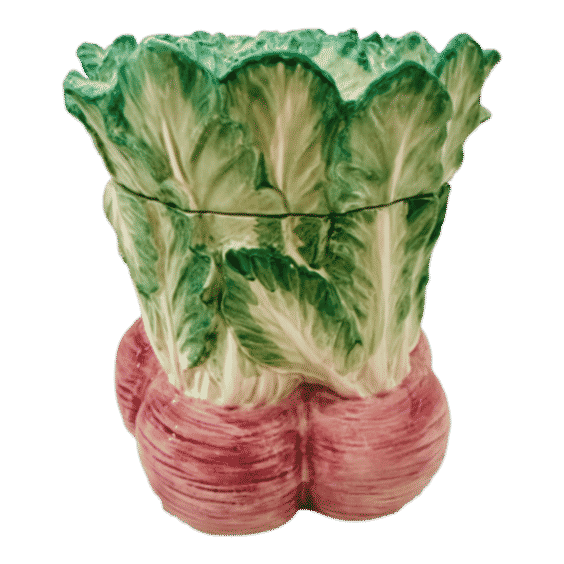 Vegetable Garden Radish Canister