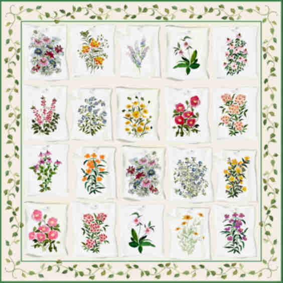 Virginia Wildflower Scarf