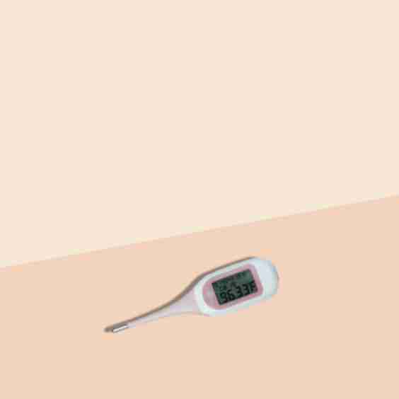 Fertility Thermometer