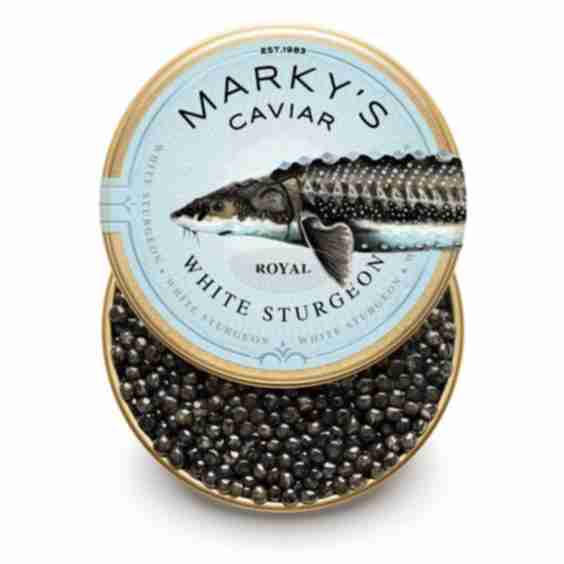 White Sturgeon Royal