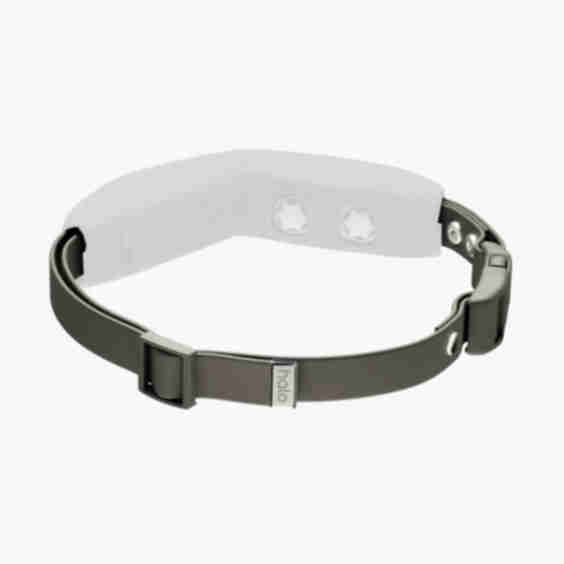Collar Strap