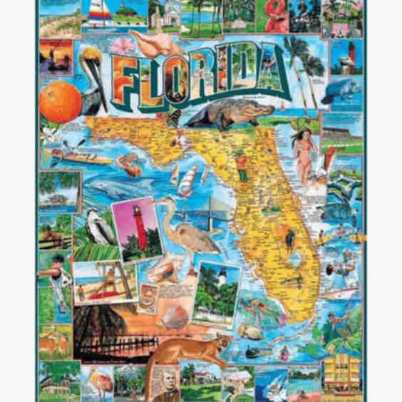 Florida Jigsaw Puzzle (1,000 pc.)