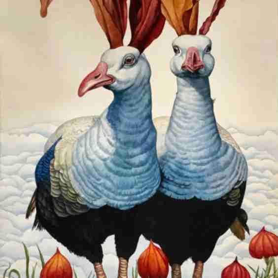 Fabled Fowl 3 (2024) Art
