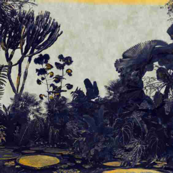 Kew Lagoon (2024) Art