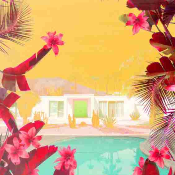 Cactus Hills (2025) Art