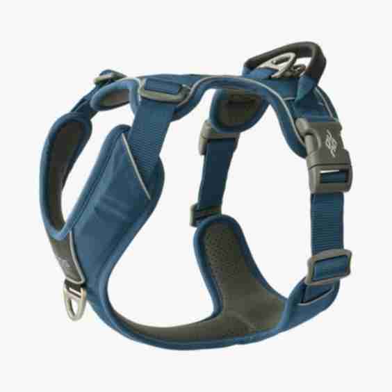 Comfort Walk Pro Harness
