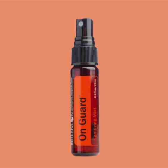 On Guard Hand Sanitizing Mist