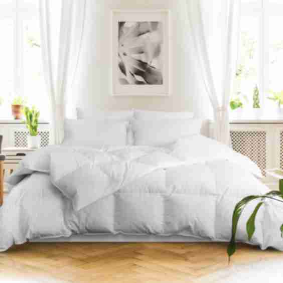 Astra Down Alternative Comforter