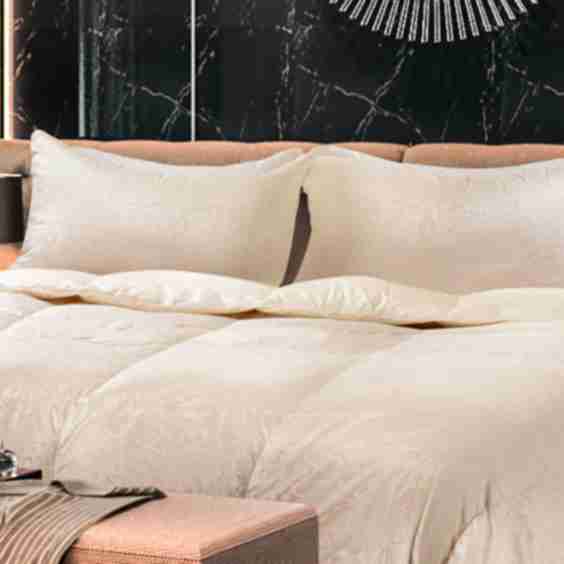 Eliasa-Eiderdown Pillow