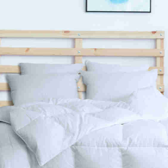 Genuine Down Pillows