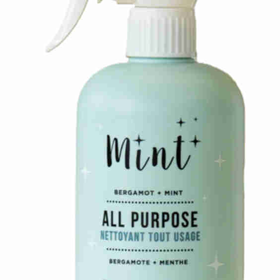 All Purpose Cleaner