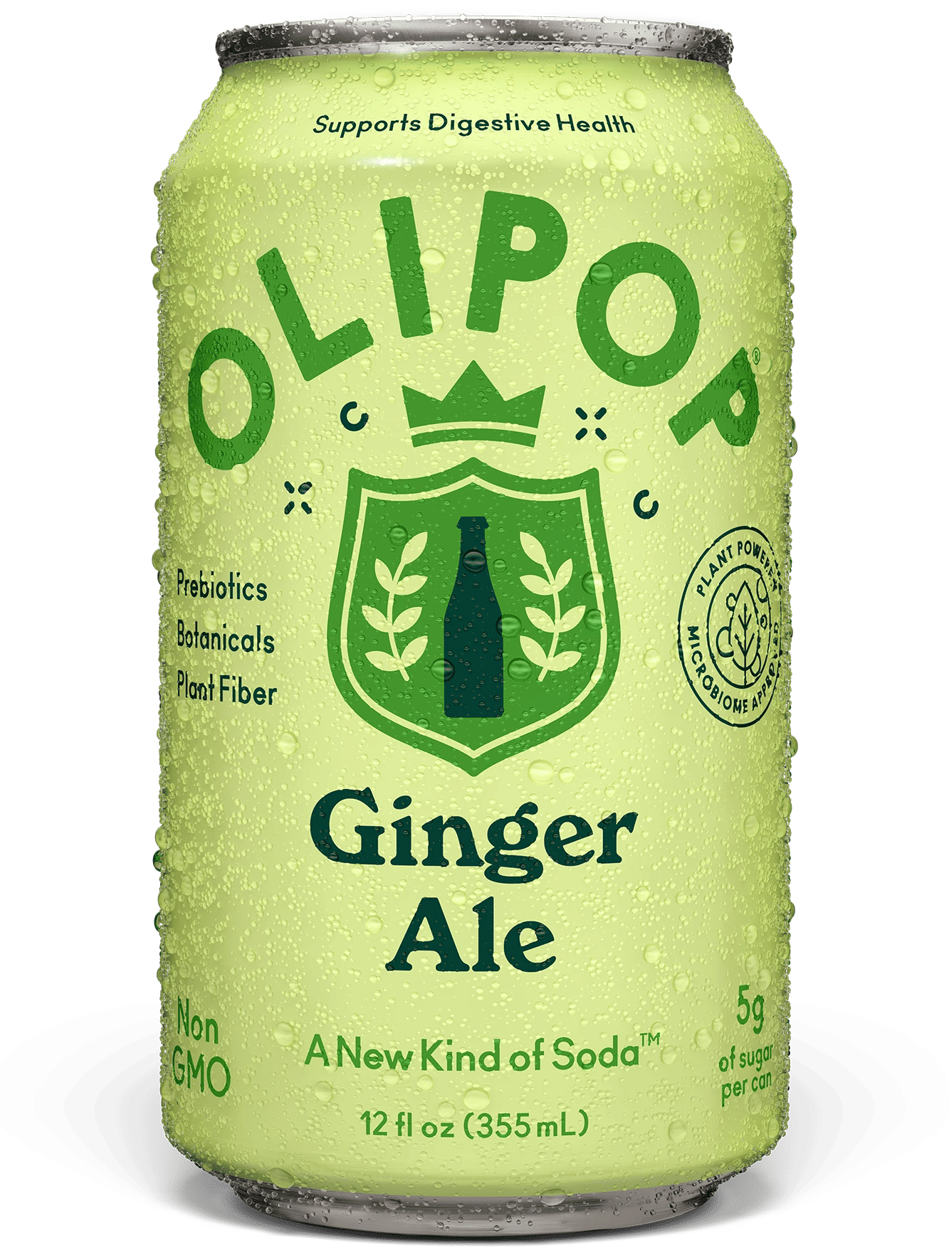Ginger Ale Soda 335ml