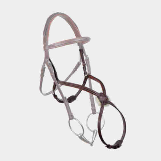 Raised Figure 8 Noseband