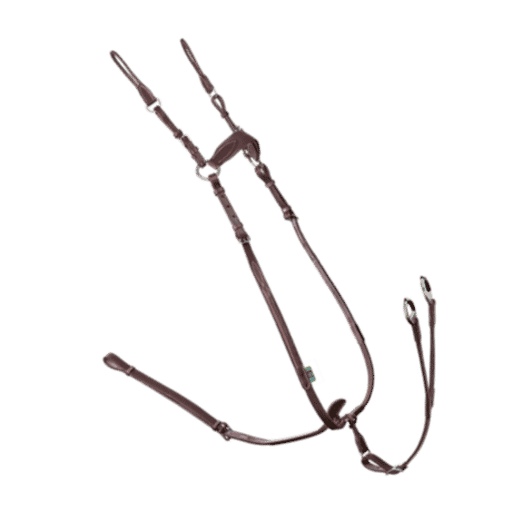3-point Elastic Breastplate 