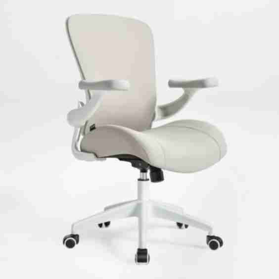Vera Ergonomic Office Chair