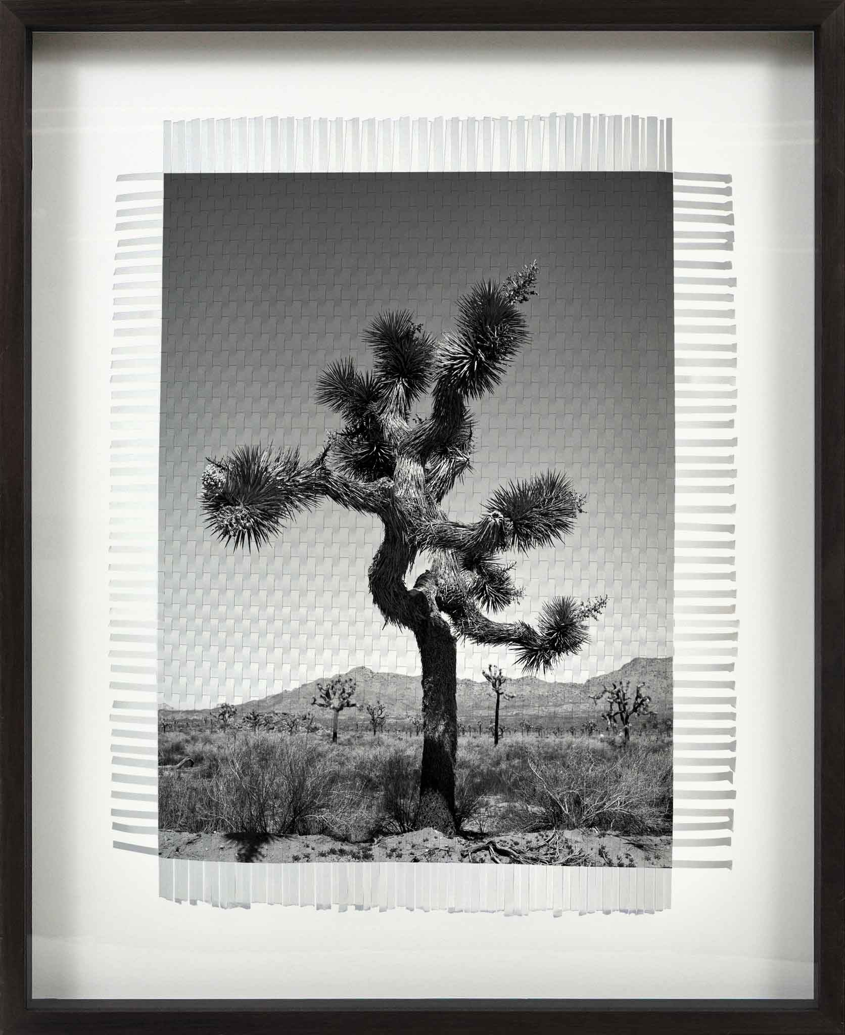 Karma Tree 1 Hand Woven Photograph