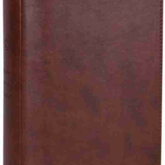 ESV Student Study Bible, Trutone, Chestnut